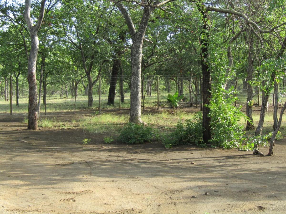 Pafuri Gate Guesthouse Mabalingwe Game Reserve Kültér fotó